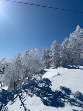 志賀高原マウンテンリゾートに投稿された画像（2022/2/17）