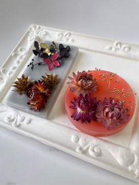 ずこうしつ〜sugamo〜に投稿された画像（2022/2/17）