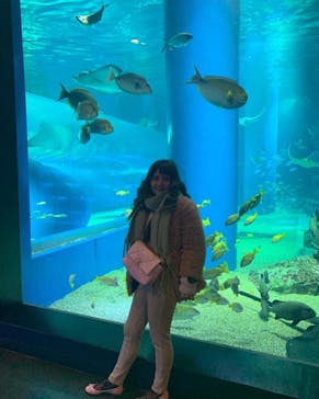 マクセル アクアパーク品川に投稿された画像（2022/2/17）