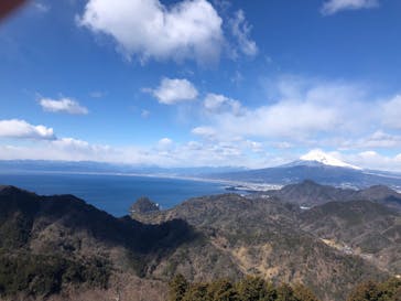 伊豆パノラマパークに投稿された画像（2022/2/17）