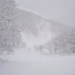 白馬コルチナスキー場に投稿された画像（2022/2/17）