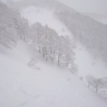 白馬コルチナスキー場に投稿された画像（2022/2/17）