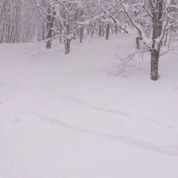 白馬コルチナスキー場に投稿された画像（2022/2/17）