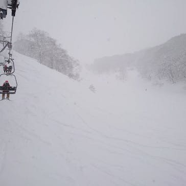 白馬コルチナスキー場に投稿された画像（2022/2/17）