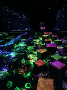 チームラボフォレスト 福岡 - SBI証券に投稿された画像（2022/2/17）