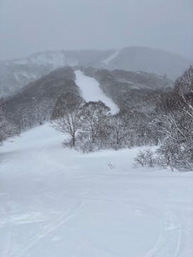 戸隠スキー場に投稿された画像（2022/2/17）