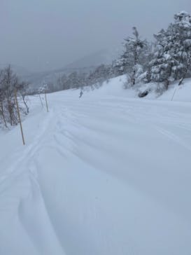 戸隠スキー場に投稿された画像（2022/2/17）