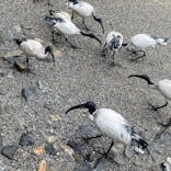 ネオパークオキナワに投稿された画像（2022/2/17）