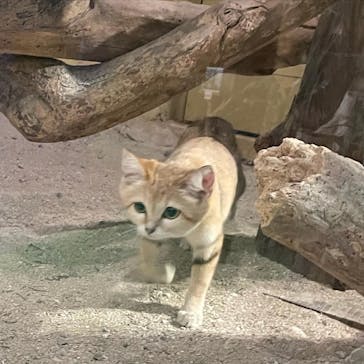 ネオパークオキナワに投稿された画像（2022/2/17）