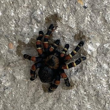 ネオパークオキナワに投稿された画像（2022/2/17）