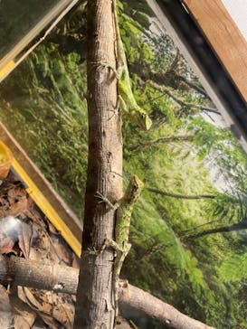 ネオパークオキナワに投稿された画像（2022/2/17）