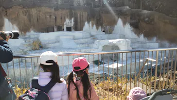 天王寺動物園に投稿された画像（2022/2/17）