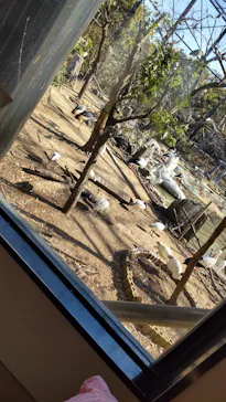 天王寺動物園に投稿された画像（2022/2/17）