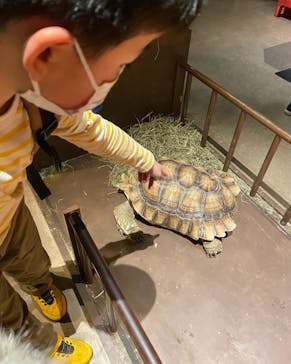 Moff animal world MARK IS みなとみらい店に投稿された画像（2022/2/17）