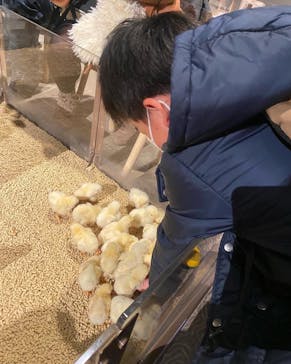 Moff animal world MARK IS みなとみらい店に投稿された画像（2022/2/17）