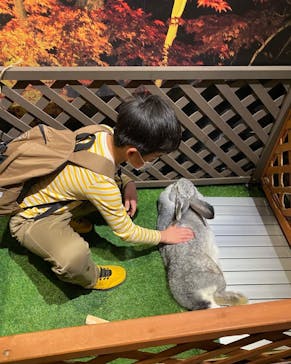 Moff animal world MARK IS みなとみらい店に投稿された画像（2022/2/17）