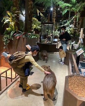 Moff animal world MARK IS みなとみらい店に投稿された画像（2022/2/17）
