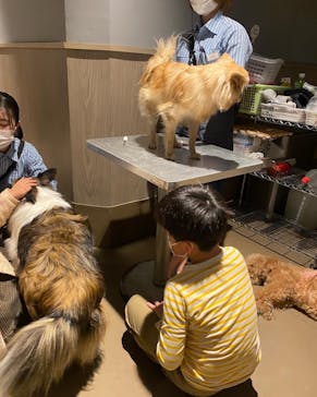 Moff animal world MARK IS みなとみらい店に投稿された画像（2022/2/17）