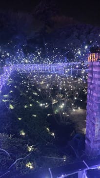 江の島シーキャンドルに投稿された画像（2022/2/17）