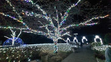 江の島シーキャンドルに投稿された画像（2022/2/17）