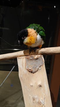 Moff animal world MARK IS みなとみらい店に投稿された画像（2022/2/17）