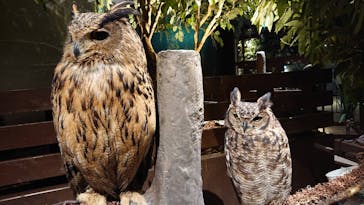 Moff animal world MARK IS みなとみらい店に投稿された画像（2022/2/17）