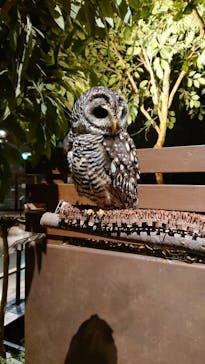 Moff animal world MARK IS みなとみらい店に投稿された画像（2022/2/17）