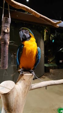 Moff animal world MARK IS みなとみらい店に投稿された画像（2022/2/17）