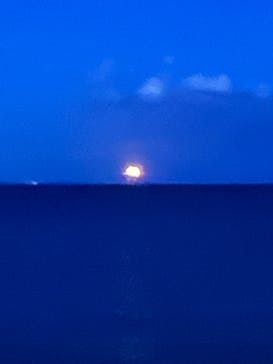 オーシャンスパ Fuuaに投稿された画像（2022/2/17）