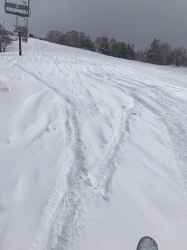 YAMABOKUワイルドスノーパークに投稿された画像（2022/2/17）