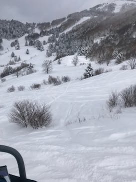 YAMABOKUワイルドスノーパークに投稿された画像（2022/2/17）