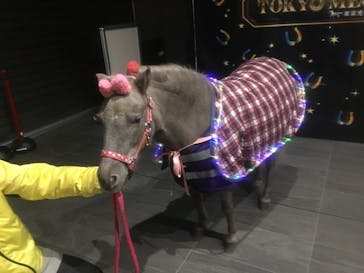 東京メガイルミに投稿された画像（2022/2/18）