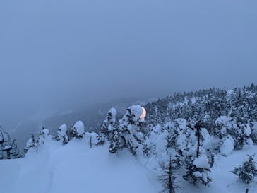 横手山・渋峠スキー場に投稿された画像（2022/2/18）
