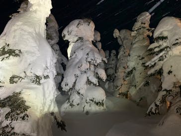 横手山・渋峠スキー場に投稿された画像（2022/2/18）