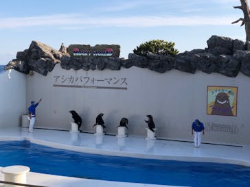 鴨川シーワールドに投稿された画像（2022/2/18）