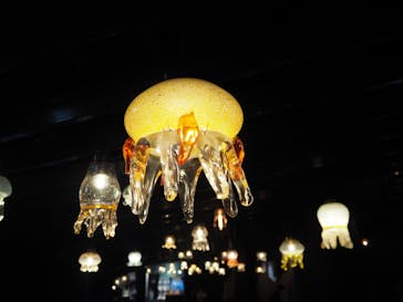 京都水族館に投稿された画像（2022/2/18）