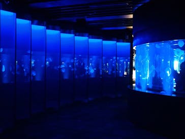 京都水族館に投稿された画像（2022/2/18）