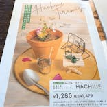 おふろcafé ハレニワの湯に投稿された画像（2022/2/18）