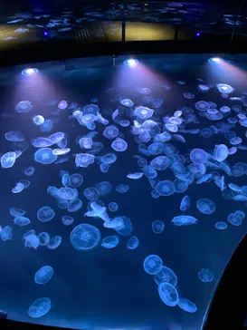 すみだ水族館に投稿された画像（2022/2/18）