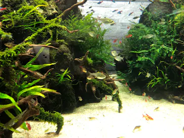 すみだ水族館に投稿された画像（2022/2/18）