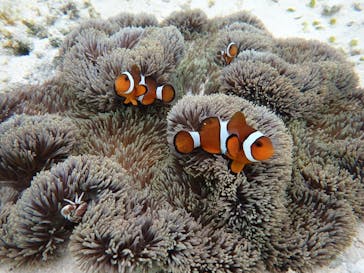 ちゃこたびに投稿された画像（2022/2/18）