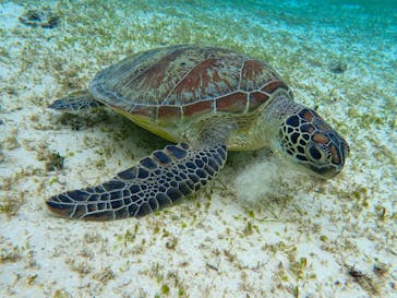 ちゃこたびに投稿された画像（2022/2/18）