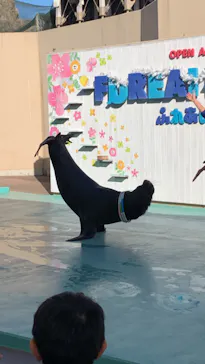 横浜・八景島シーパラダイスに投稿された画像（2022/2/18）