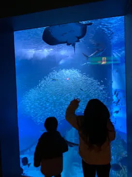 横浜・八景島シーパラダイスに投稿された画像（2022/2/18）