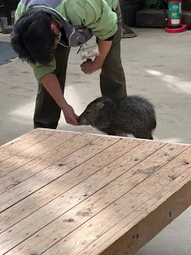 神戸どうぶつ王国に投稿された画像（2022/2/18）