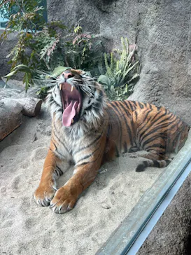 神戸どうぶつ王国に投稿された画像（2022/2/18）