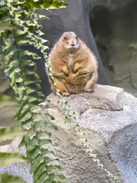 神戸どうぶつ王国に投稿された画像（2022/2/18）