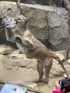 神戸どうぶつ王国に投稿された画像（2022/2/18）