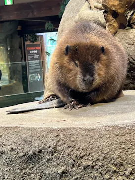 神戸どうぶつ王国に投稿された画像（2022/2/18）