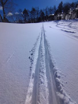 やぶはら高原スキー場に投稿された画像（2022/2/18）